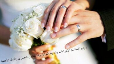 زواج الاجانب: الإجراءات وشروط التوثيق وفقًا للقانون المصري والدول الأجنبية